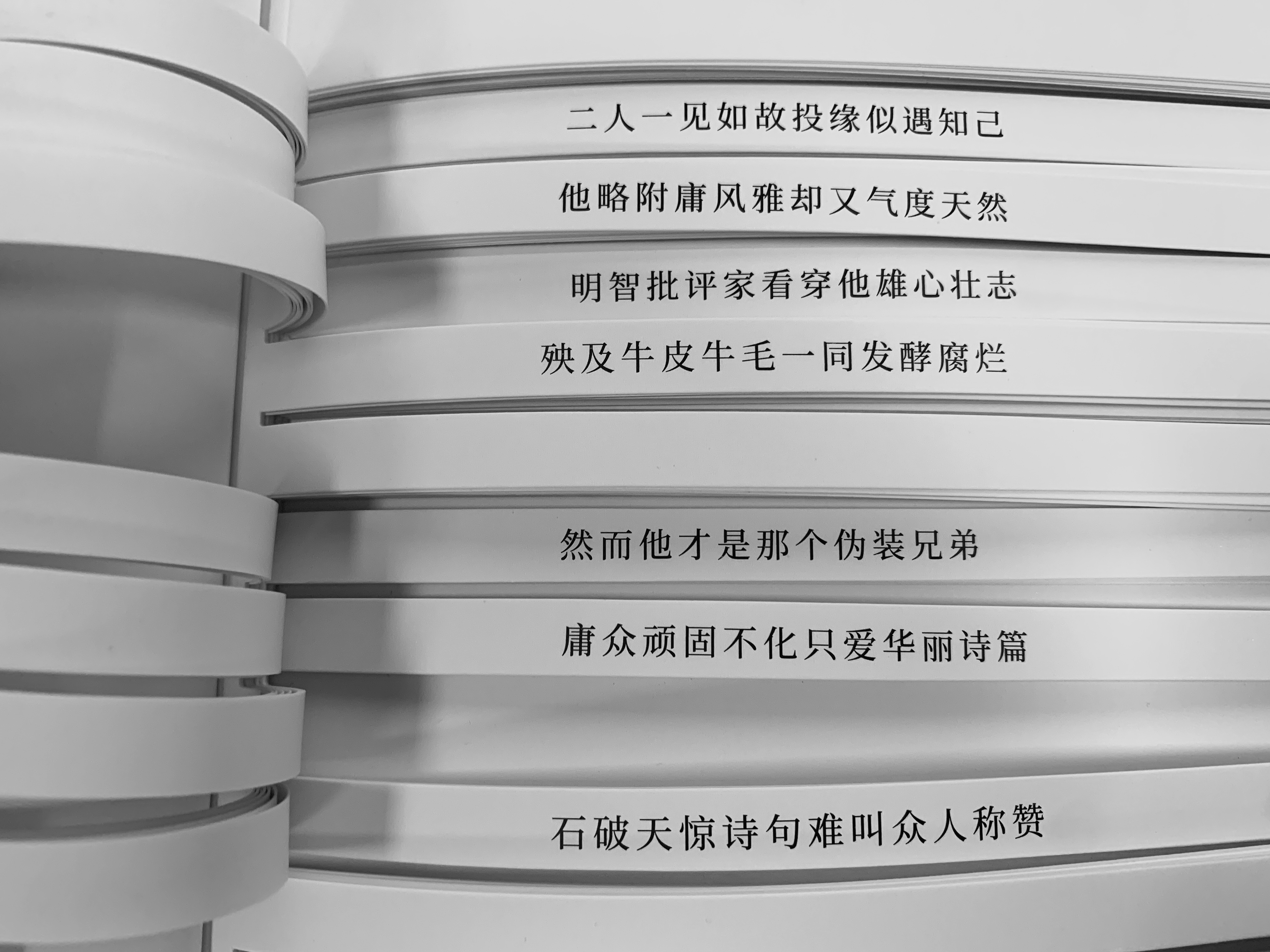 图片来自豆瓣用户 1+1=6