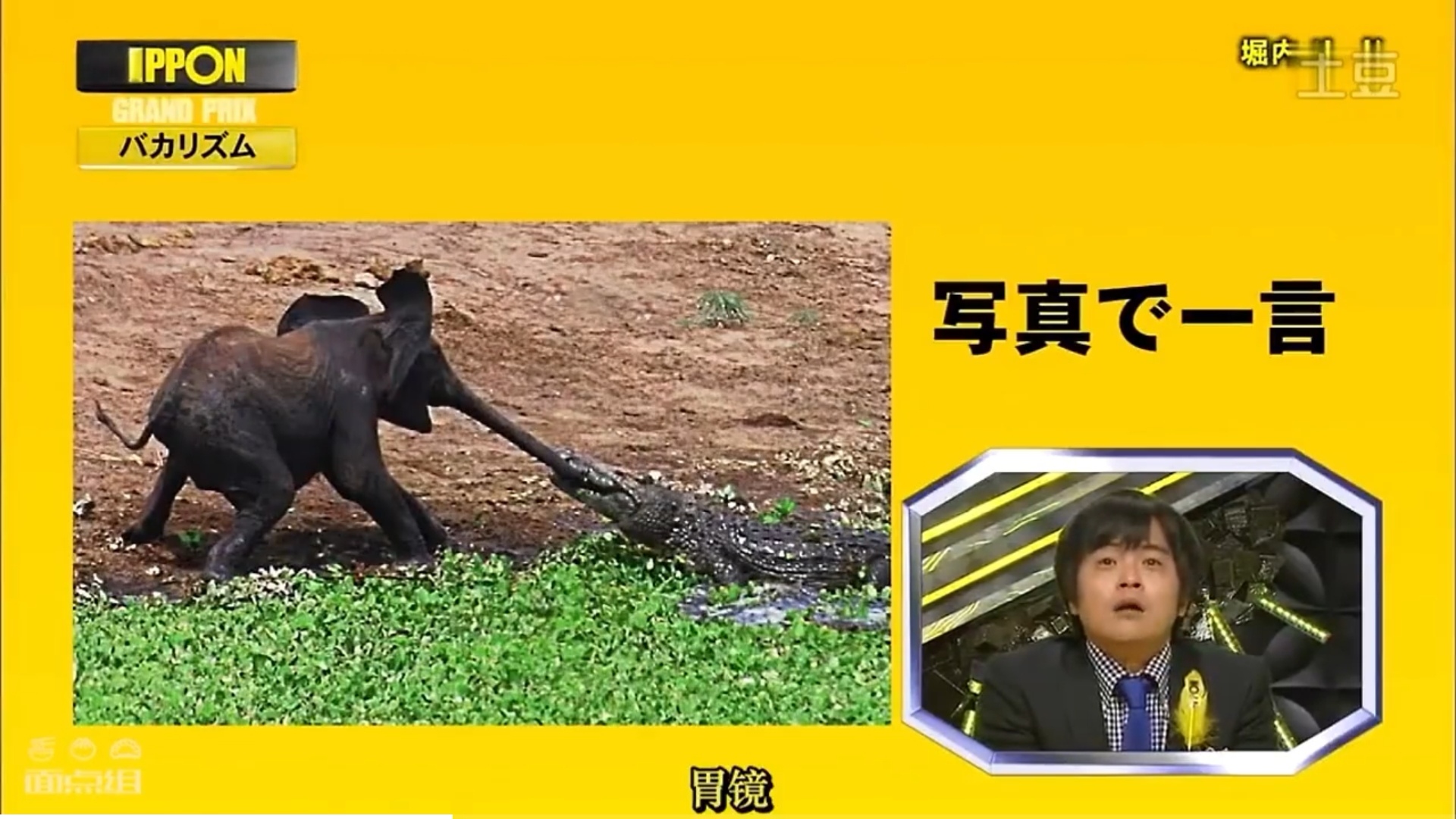 综艺《IPPON》截图